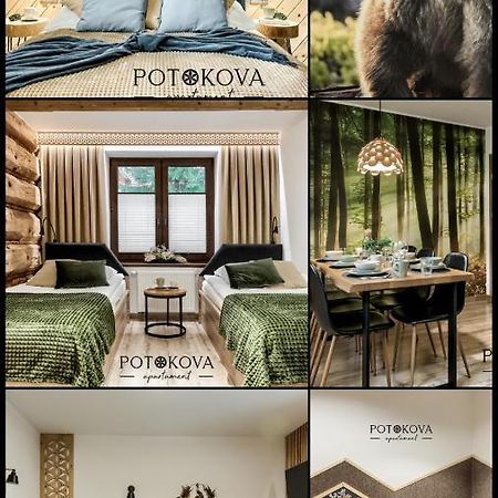 זקופאנה Potokova Apartament Centrum מראה חיצוני תמונה