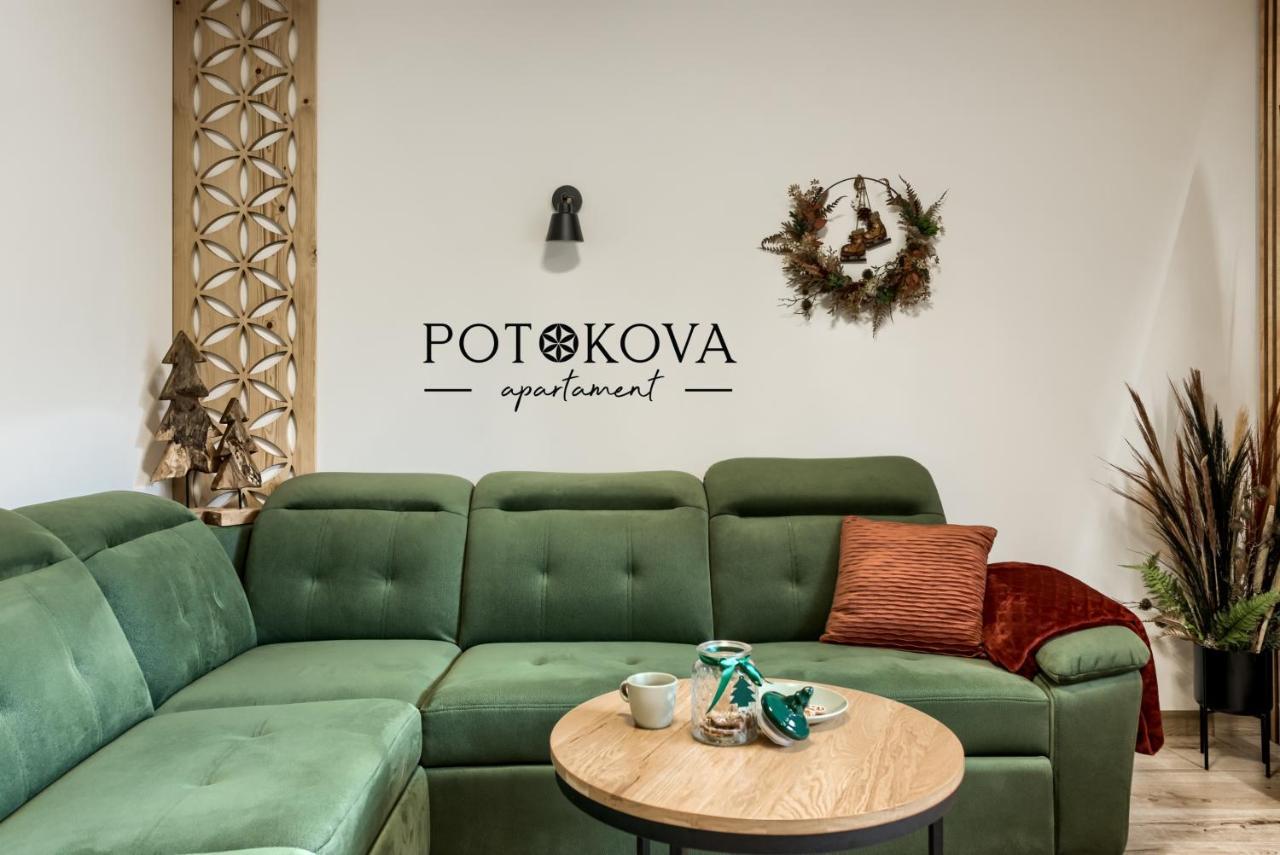 זקופאנה Potokova Apartament Centrum מראה חיצוני תמונה
