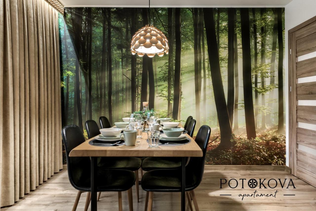 זקופאנה Potokova Apartament Centrum מראה חיצוני תמונה
