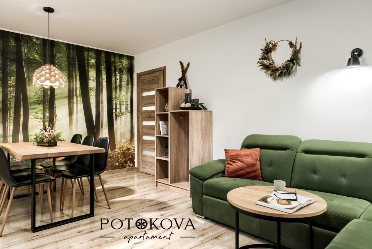 זקופאנה Potokova Apartament Centrum מראה חיצוני תמונה