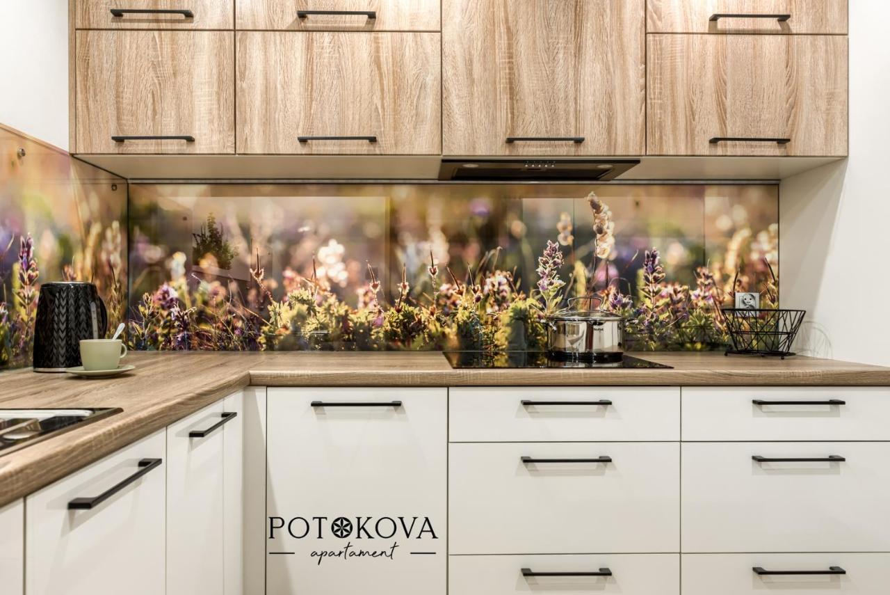 זקופאנה Potokova Apartament Centrum מראה חיצוני תמונה