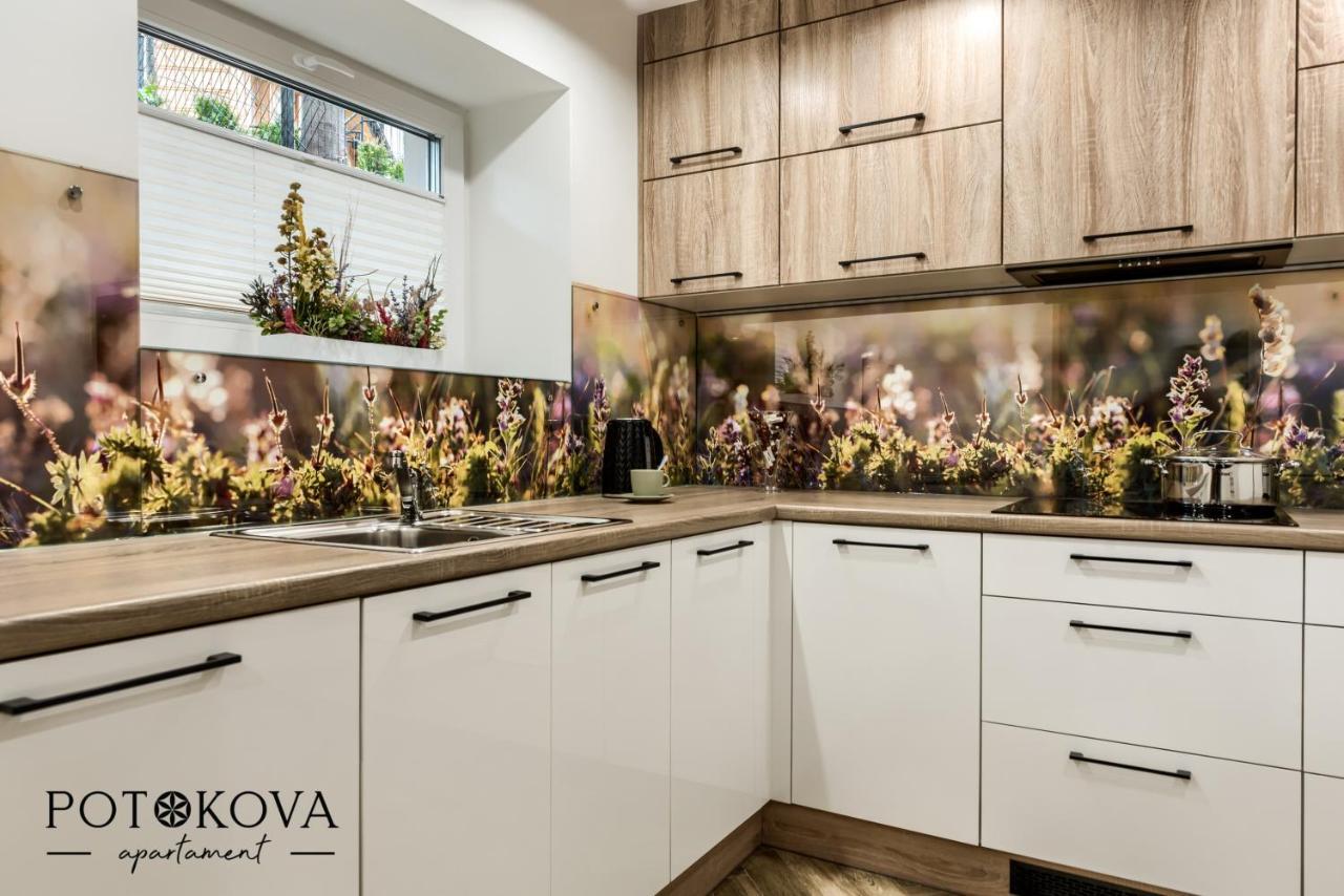זקופאנה Potokova Apartament Centrum מראה חיצוני תמונה