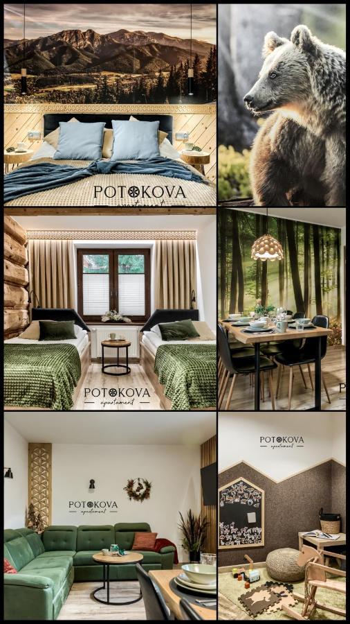 זקופאנה Potokova Apartament Centrum מראה חיצוני תמונה